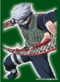 Kakashi Hatake Sleeves